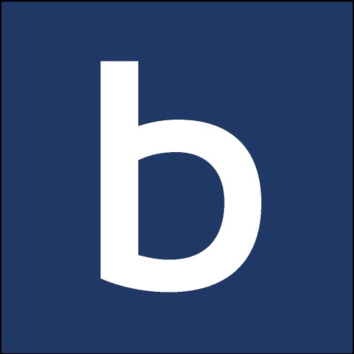 BlueConnect Partners